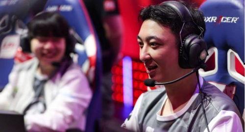 娱乐大爆料熊猫,熊猫明星的幕后故事大揭秘 第2张 娱乐大爆料熊猫,熊猫明星的幕后故事大揭秘 第2张